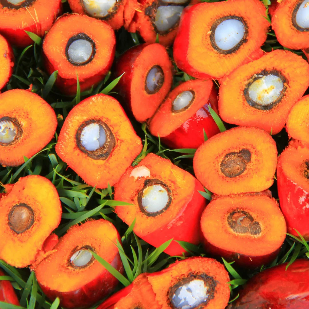 The Environmental Damage of Palm Oil in the Beauty Industry