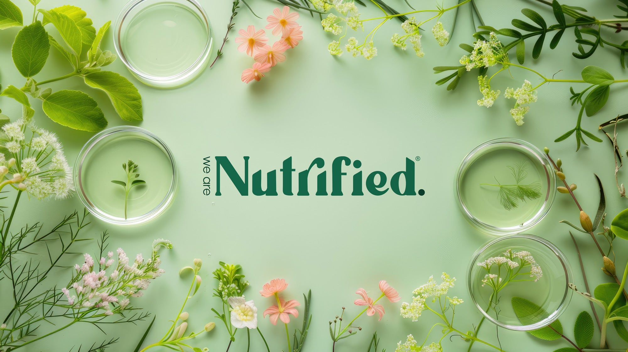 glass pots and flowers on green background