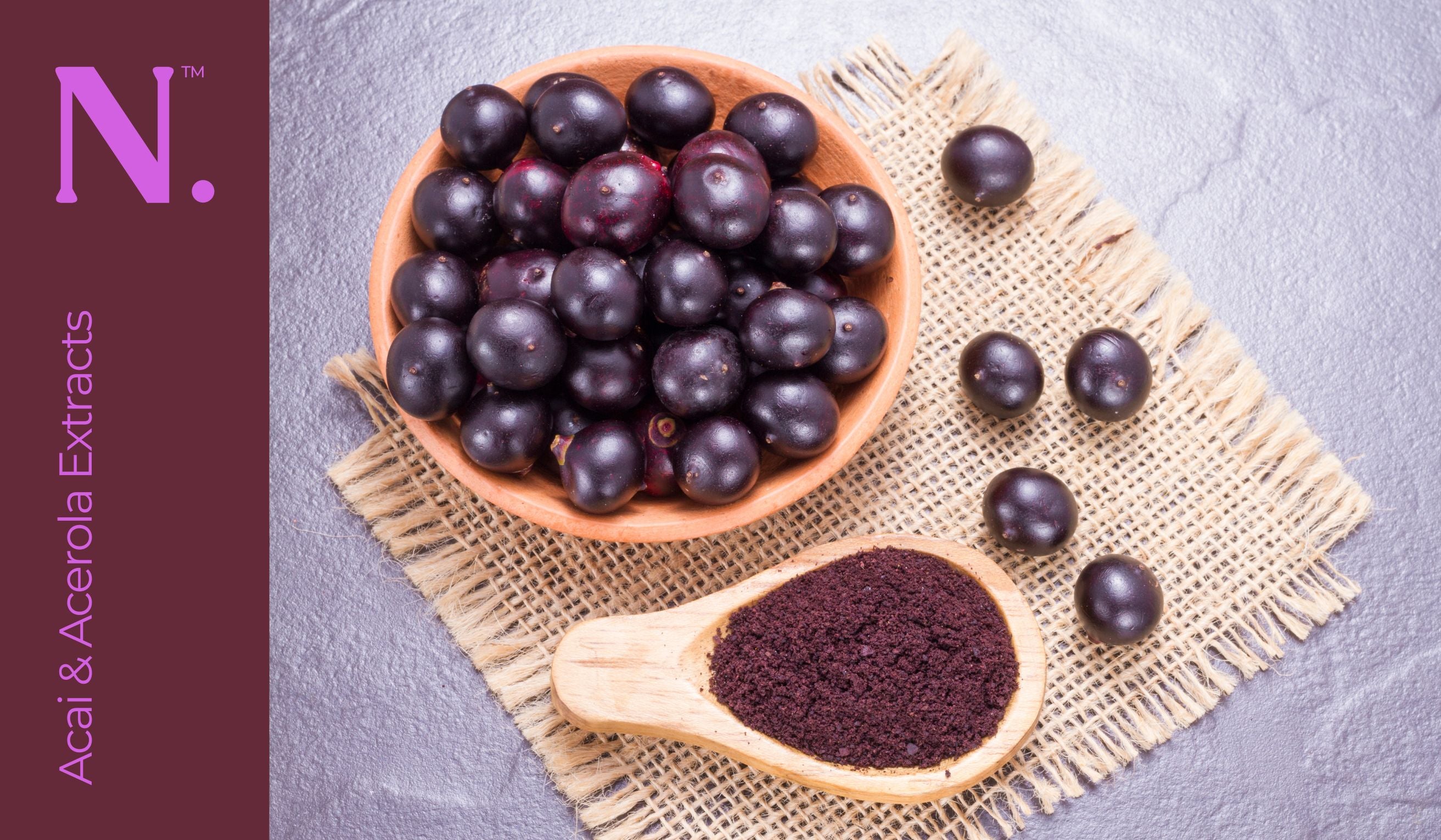 Bowl full of purple acai berries with a spoon full of acai extracts