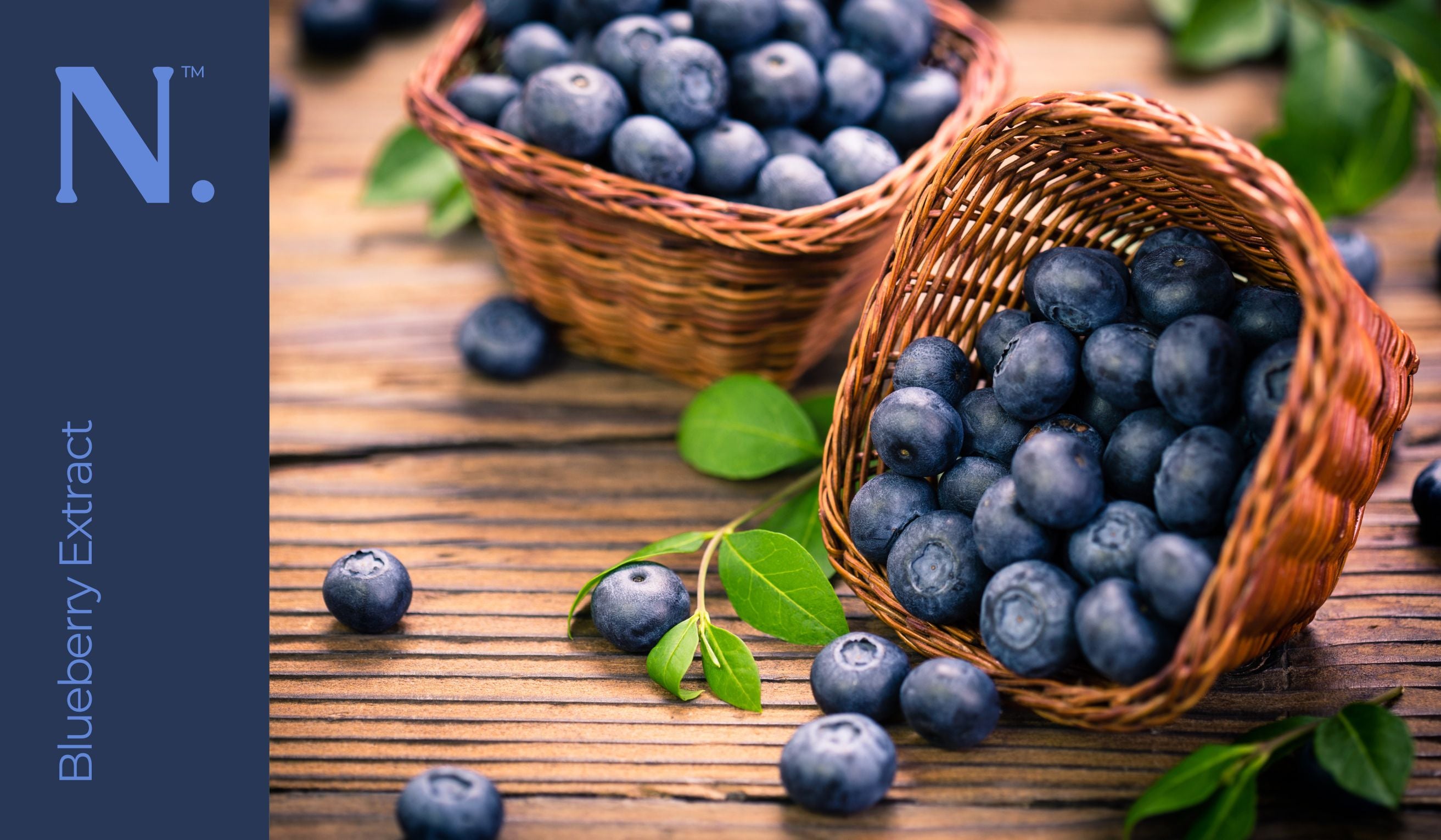 basket with blue berries rolling out